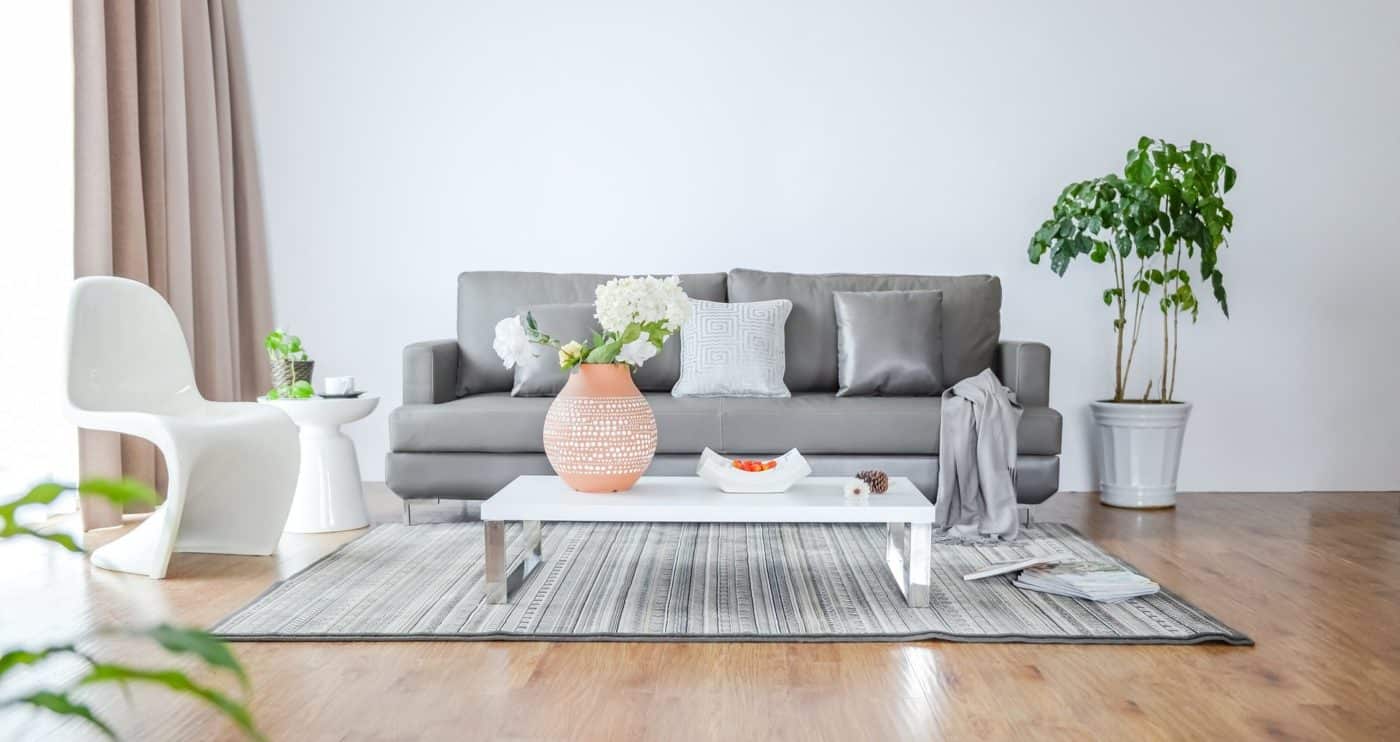 clean living room after easy and fast housecleaning