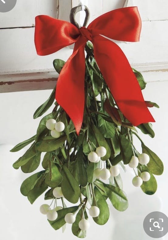 Mistletoe, harmful holiday plant for our pets