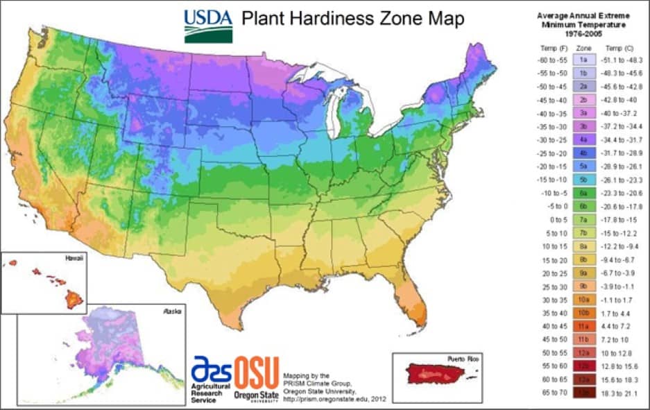 Planting Zone Map