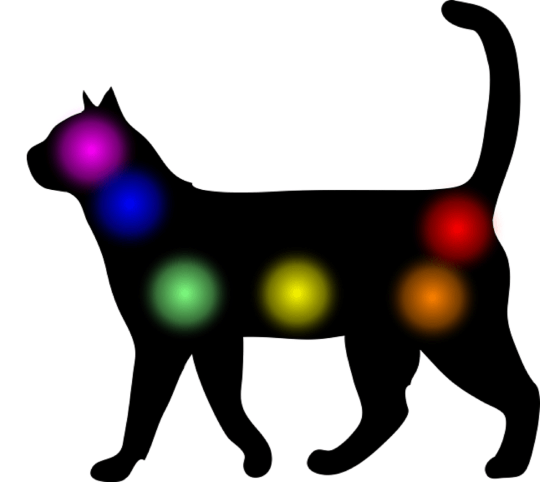 cat showing chakra placement for reiki principles