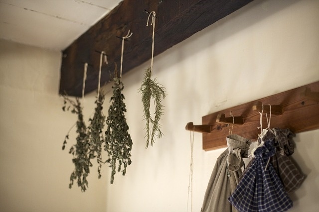 drying herbs to use to balance female hormones